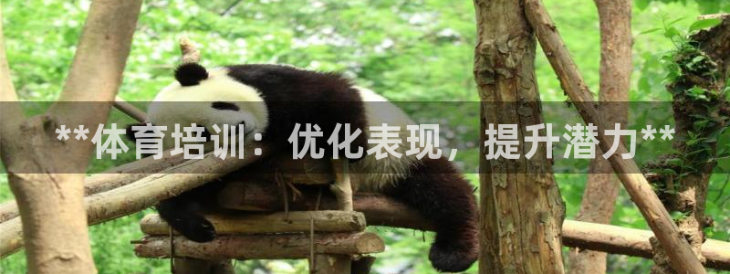 极悦平台网址皮皮虾：**体育培训：优化表现，提升潜力