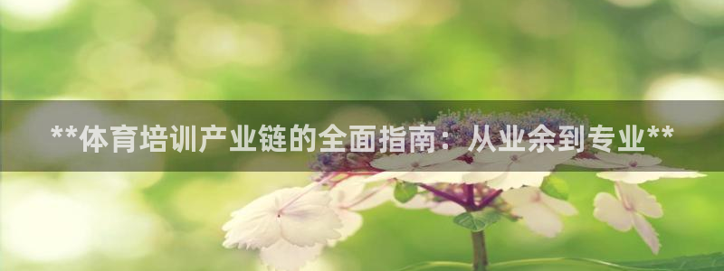 极悦娱乐的创始人背景故事简介：**体育培训产业链的全