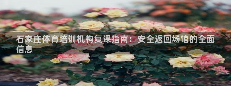极悦平台代理怎么样：石家庄体育培训机构复课指南：安全