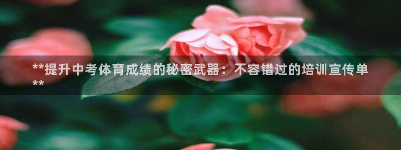 极悦平台的注册流程及注意事项：**提升中考体育成绩的