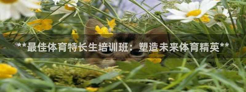 极悦平台网址皮皮虾下载：**最佳体育特长生培训班：塑