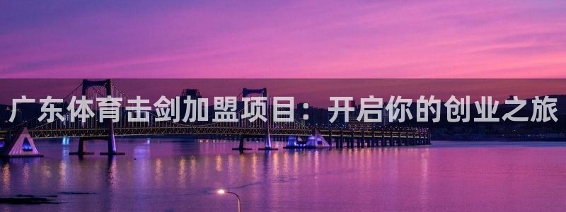 极悦官方网站：广东体育击剑加盟项目：开启你的创业之旅