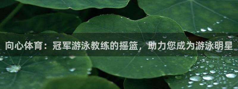极悦平台很7O777：向心体育：冠军游泳教练的摇篮，