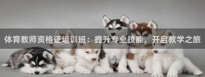 极悦平台注册申请流程详解图片：体育教师资格证培训班：