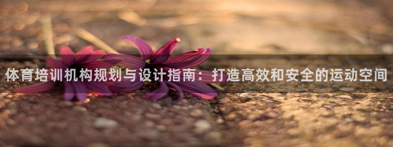 极悦娱乐官网客服联系方式是什么：体育培训机构规划与设