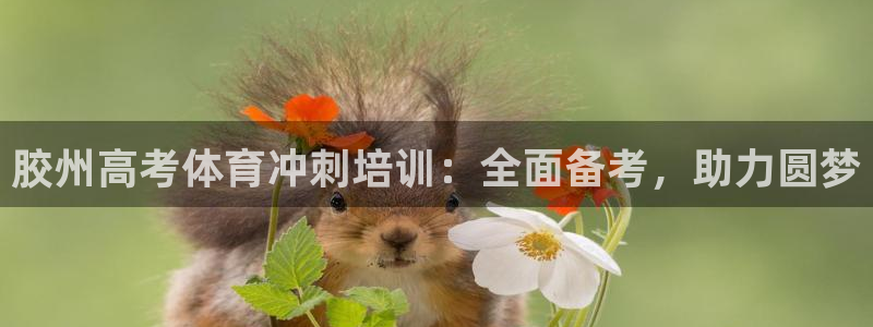 极悦娱乐负责人怎么样：胶州高考体育冲刺培训：全面备考