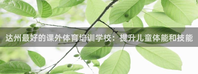 极悦娱乐的背景和历史背景是什么：达州最好的课外体育培