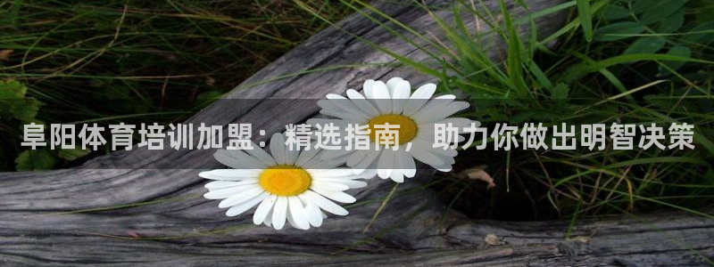 极悦娱乐：阜阳体育培训加盟：精选指南，助力你做出明智