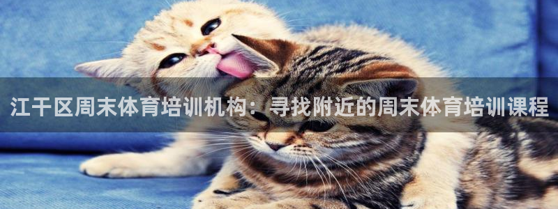 极悦平台官网登录入口手机版：江干区周末体育培训机构：