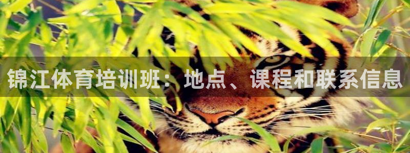 极悦平台官网入口网址：锦江体育培训班：地点、课程和联