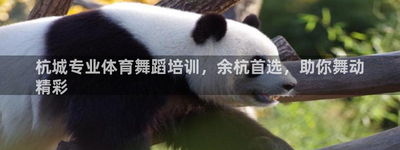 极悦娱乐贴吧百度：杭城专业体育舞蹈培训，余杭首选，助