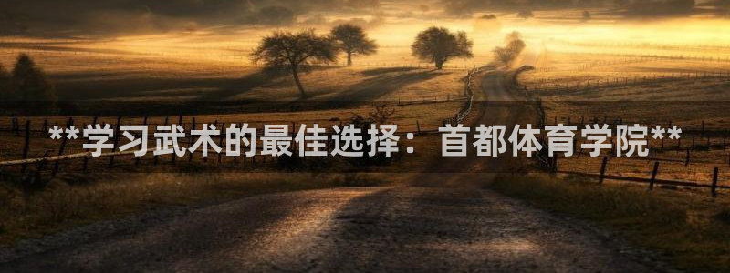 极悦官网首页登录入口：**学习武术的最佳选择：首都体