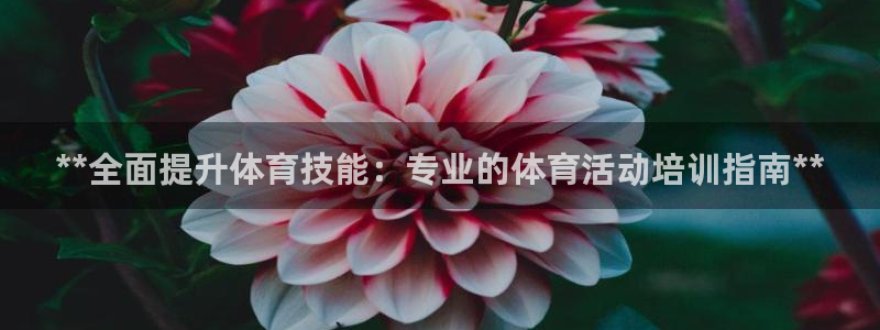 极悦平台官网登录不了了：**全面提升体育技能：专业的
