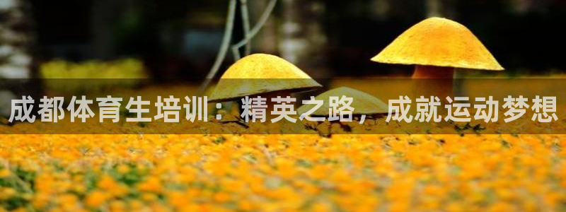 极悦娱乐代理：成都体育生培训：精英之路，成就运动梦想