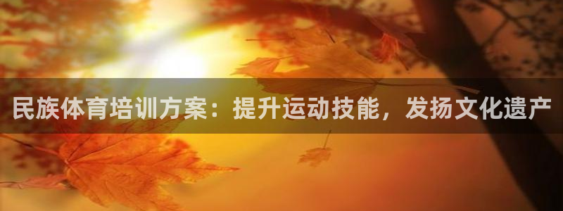 极悦平台注册官方网站下载安卓版：民族体育培训方案：提