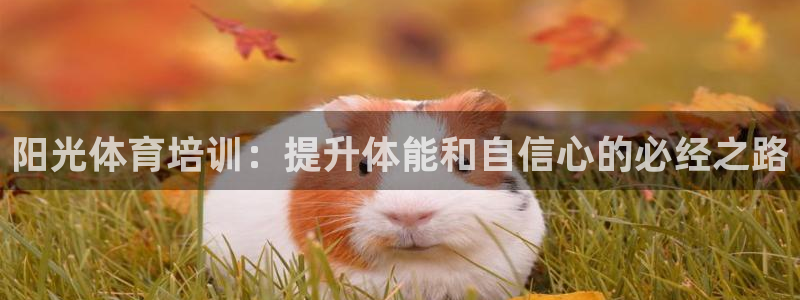 极悦娱乐官网客服联系方式查询：阳光体育培训：提升体能