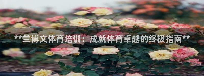 极悦平台用户评价与反馈在哪里：**兰博文体育培训：成