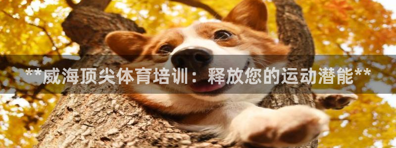 极悦平台注册申请流程详解图：**威海顶尖体育培训：释