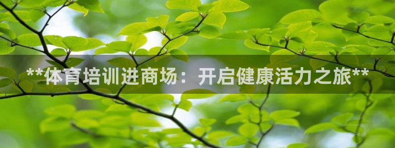 加盟极悦教育：**体育培训进商场：开启健康活力之旅*