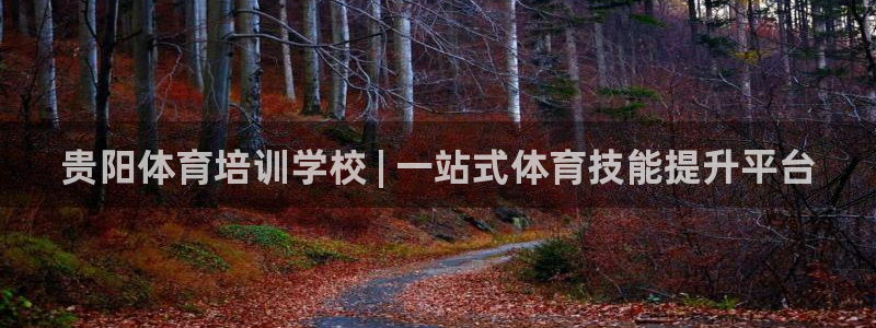 极悦平台登录7.0.2.4手机版下载：贵阳体育培训学