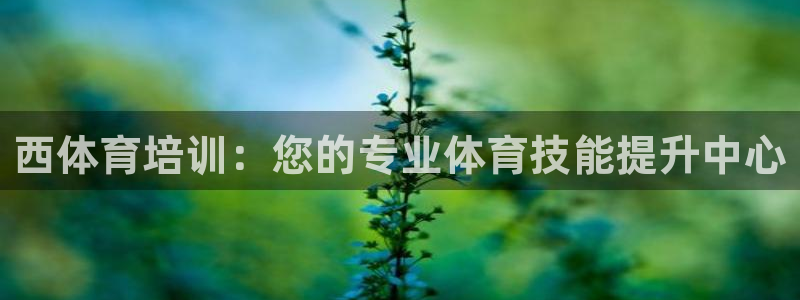 极悦娱乐负责人电话：西体育培训：您的专业体育技能提升