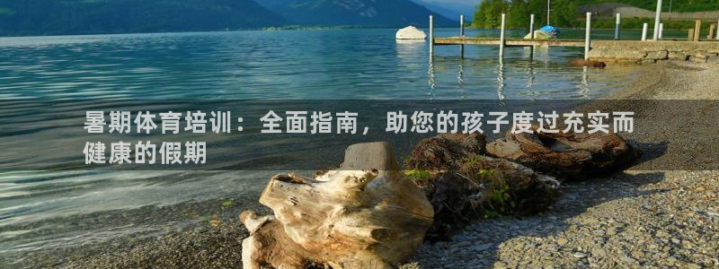 极悦官方网站入口网址是多少：暑期体育培训：全面指南，