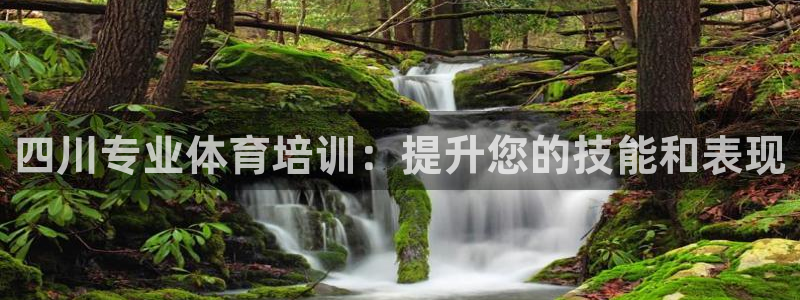 极悦官方网站入口网址大全：四川专业体育培训：提升您的