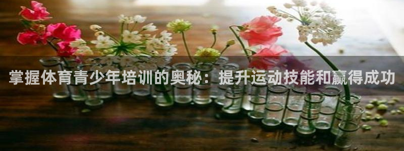 极悦平台注册登录不了：掌握体育青少年培训的奥秘：提升