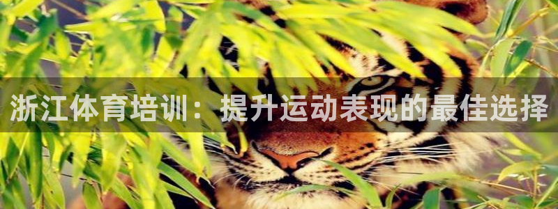 极悦平台注册失败如何解决呢：浙江体育培训：提升运动表