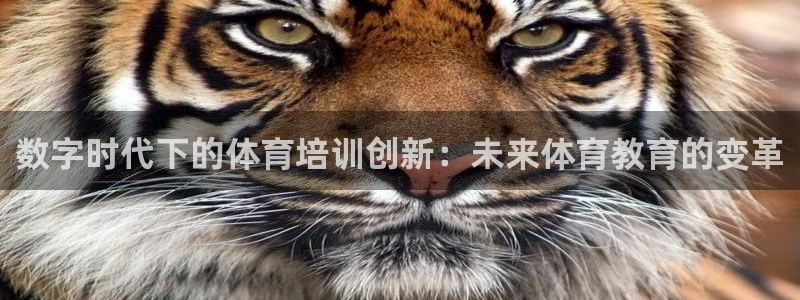极悦娱乐app官方版本更新内容下载：数字时代下的体育