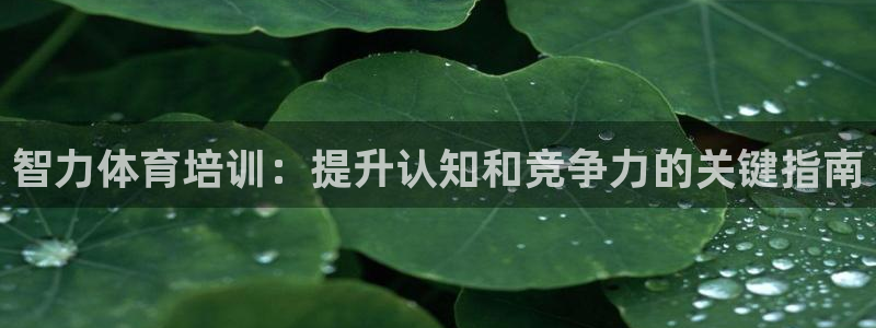 极悦娱乐的最新版本更新内容在哪：智力体育培训：提升认