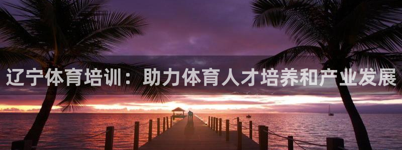 极悦牙膏怎么样：辽宁体育培训：助力体育人才培养和产业