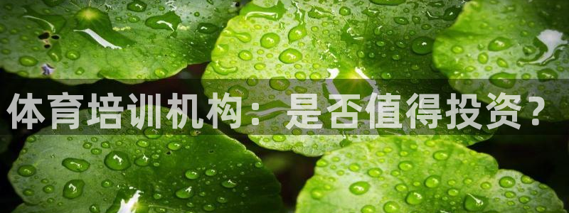 极悦娱乐成7O777：体育培训机构：是否值得投资？