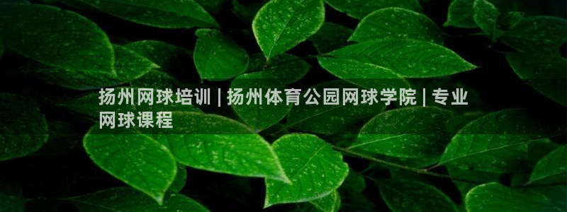 极悦平台官网登录：扬州网球培训 | 扬州体育公园网球