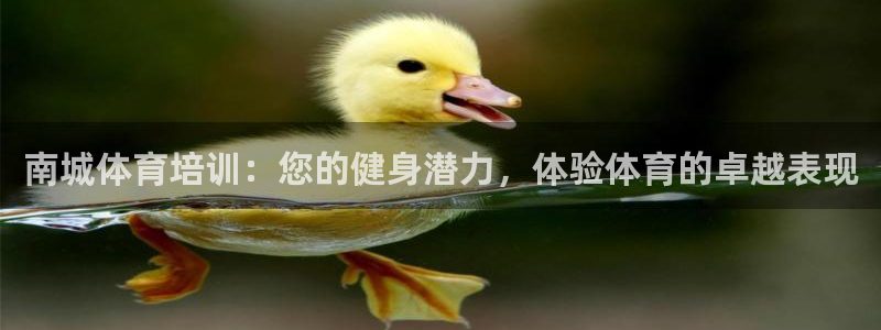 极悦平台注册申请流程详解图片：南城体育培训：您的健身