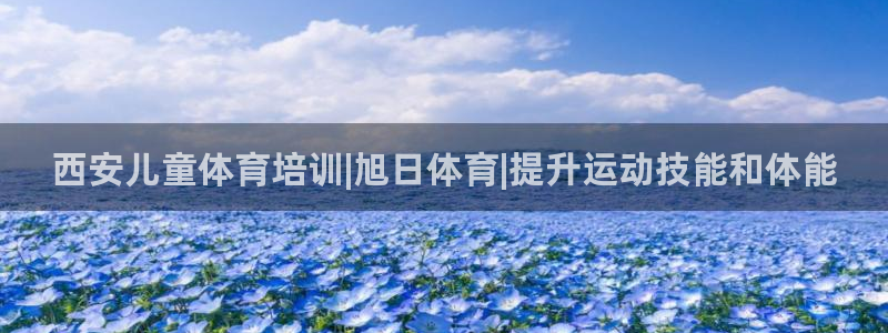 极悦平台注册登录入口在哪：西安儿童体育培训|旭日体育