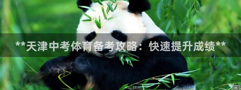 极悦平台代理怎么赚钱的：**天津中考体育备考攻略：快