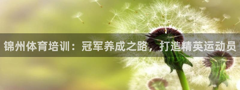 极悦平台注册流程图：锦州体育培训：冠军养成之路，打造