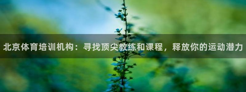 极悦平台注册和登录页面一样吗：北京体育培训机构：寻找