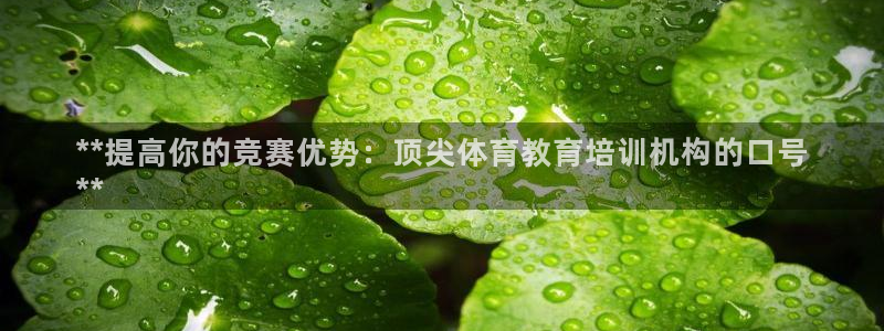 极悦平台官方网站首页入口：**提高你的竞赛优势：顶尖