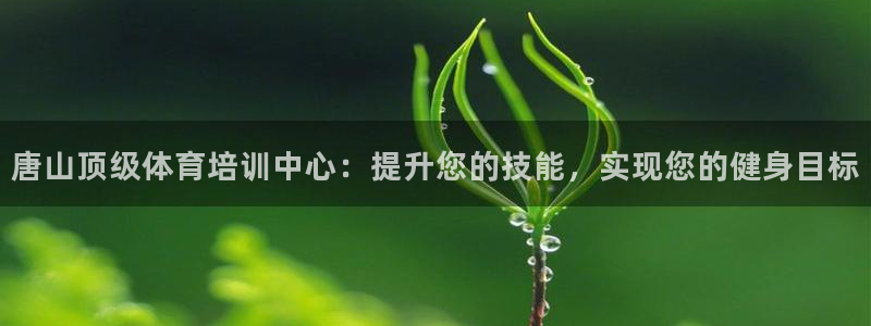 极悦娱乐的背景和历史背景是什么：唐山顶级体育培训中心