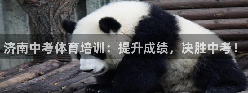 极悦平台用户反馈和反馈：济南中考体育培训：提升成绩，