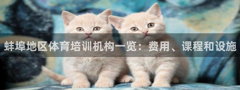 极悦娱乐股东名单：蚌埠地区体育培训机构一览：费用、课