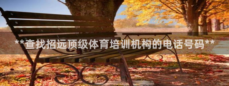 加盟极悦教育要多少钱：**查找招远顶级体育培训机构的