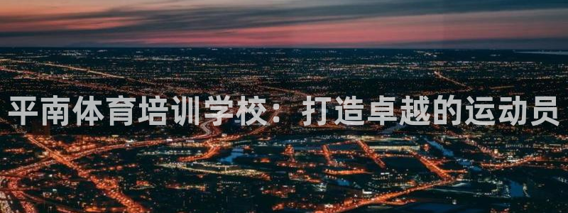 极悦平台注册用户名生成器是什么：平南体育培训学校：打