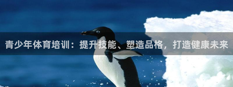 极悦平台客服的联系方式：青少年体育培训：提升技能、塑