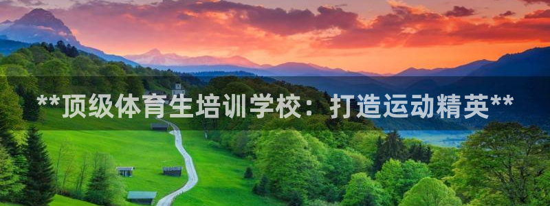 极悦平台注册流程图：**顶级体育生培训学校：打造运动