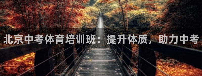 极悦平台代理：北京中考体育培训班：提升体质，助力中考