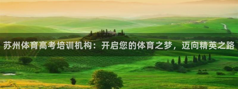 极悦牙膏怎么样好不好：苏州体育高考培训机构：开启您的