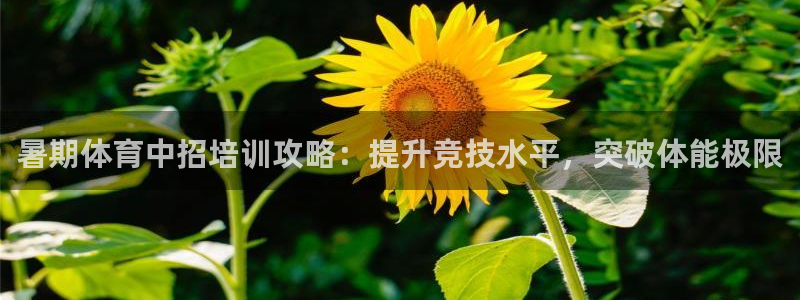 极悦娱乐公司最新招聘信息电话：暑期体育中招培训攻略：